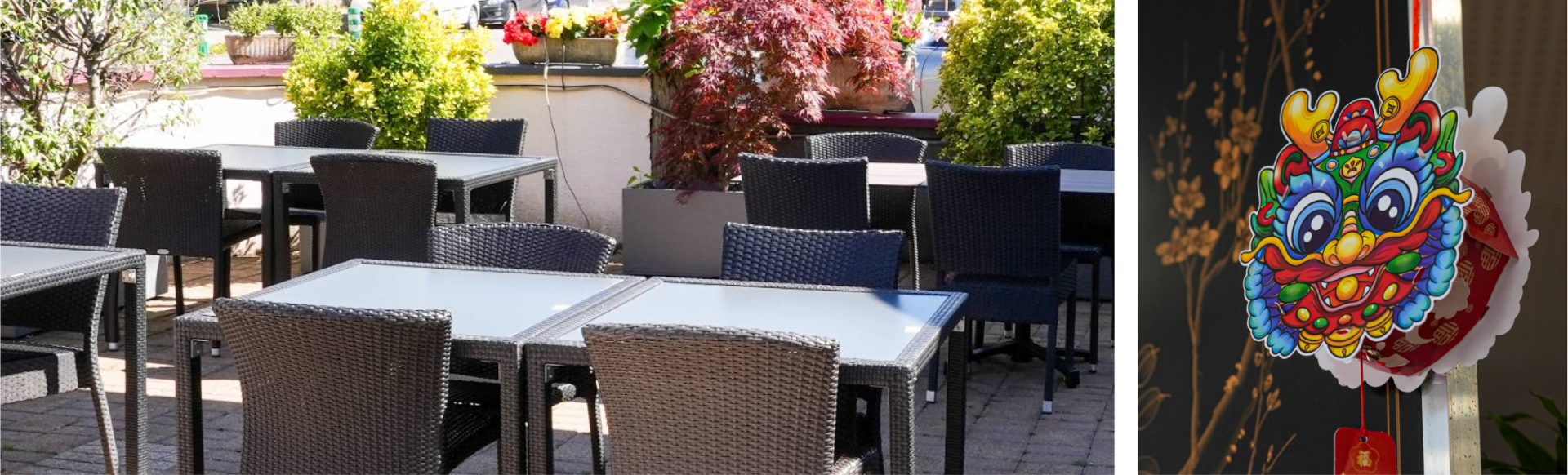 Les Terrasses D'Asie - restaurant PFASTATT - mulhouse restaurant chinois - restaurant thai mulhouse - Mulhouse Restaurant chinois